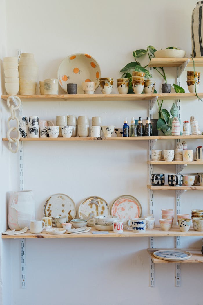 Artistic display of ceramic bowls and cups on shelves with plants.